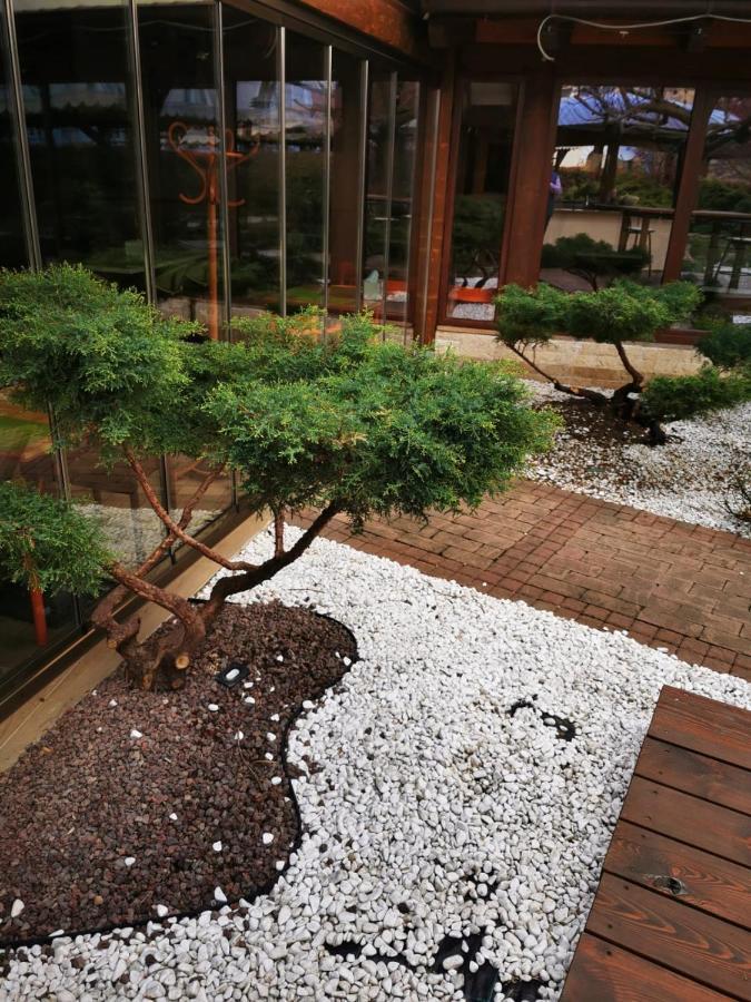 Hotel Gio アラド エクステリア 写真